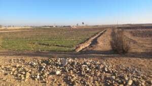 Salih's farmland, which is now safe for planting