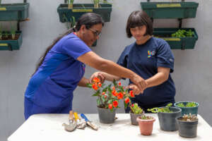 TALLER PRE-LABORAL DE JARDINERIA