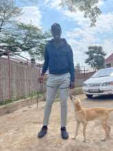 Fulgence and Zena after her spay