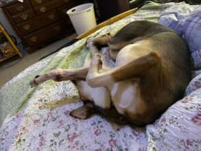 Margot at adoption- a miracle!