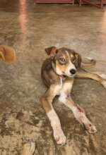 Margot feeling much better