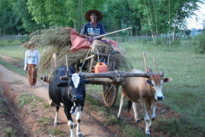 Example of Unimproved Village Road
