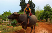 Build a Bridge in Htee Whr Mu, Myanmar