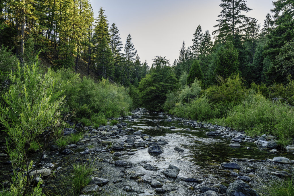 South Fork Scott - Nate Wilson Photo