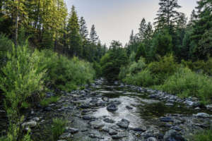 South Fork Scott - Nate Wilson Photo