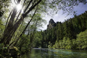 North Umpqua River - Tyler Roemer photo