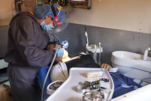 Dental care for children, adolescents and women.
