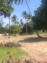 Manu Shapes Workshop Land Picture 1