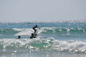 Jorge surfs the first Alaia in Tofo