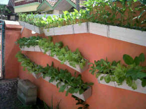 Roof Top Gardening