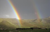 Help Tibetans in Need of Urgent Care in Tibet