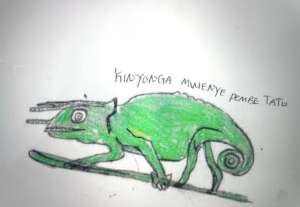 Reptile Still: Tanzania