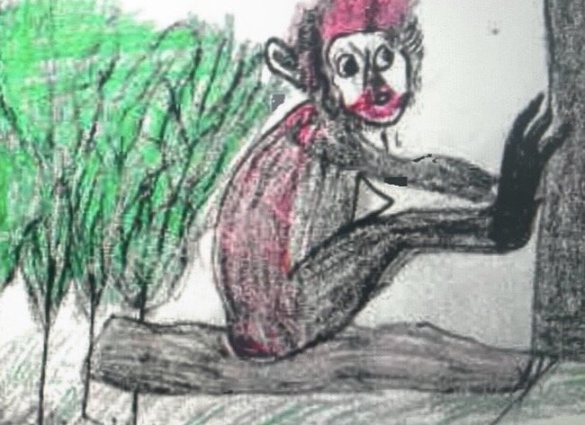 Forests and Monkey: Tanzania