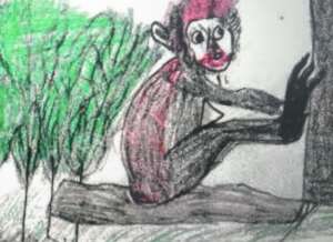 Forests and Monkey: Tanzania
