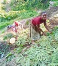 Nature-based farming solutions