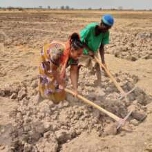 Working with farmers to improve soil health