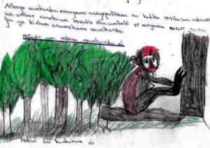 Red Colobus and Forest Protection Art Project