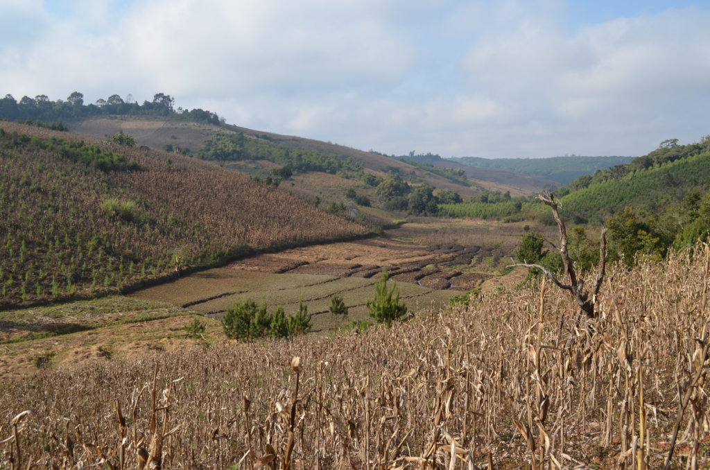 Women-led, One Health Solutions in Tanzania