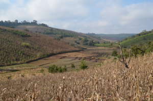 Udzungwa Farmland