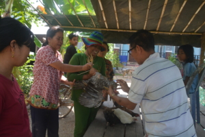 Staff helped inject vaccines to chicken of farmers