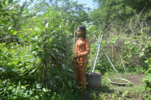 Aunt Chey Samean looks for insect on the long bean