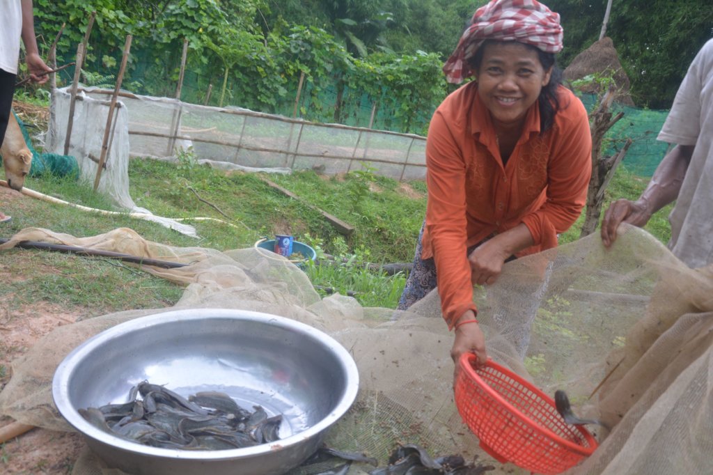 Enhance Food Security for 300 Returned Migrants