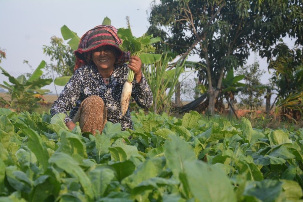 Enhance Food Security for 300 Returned Migrants