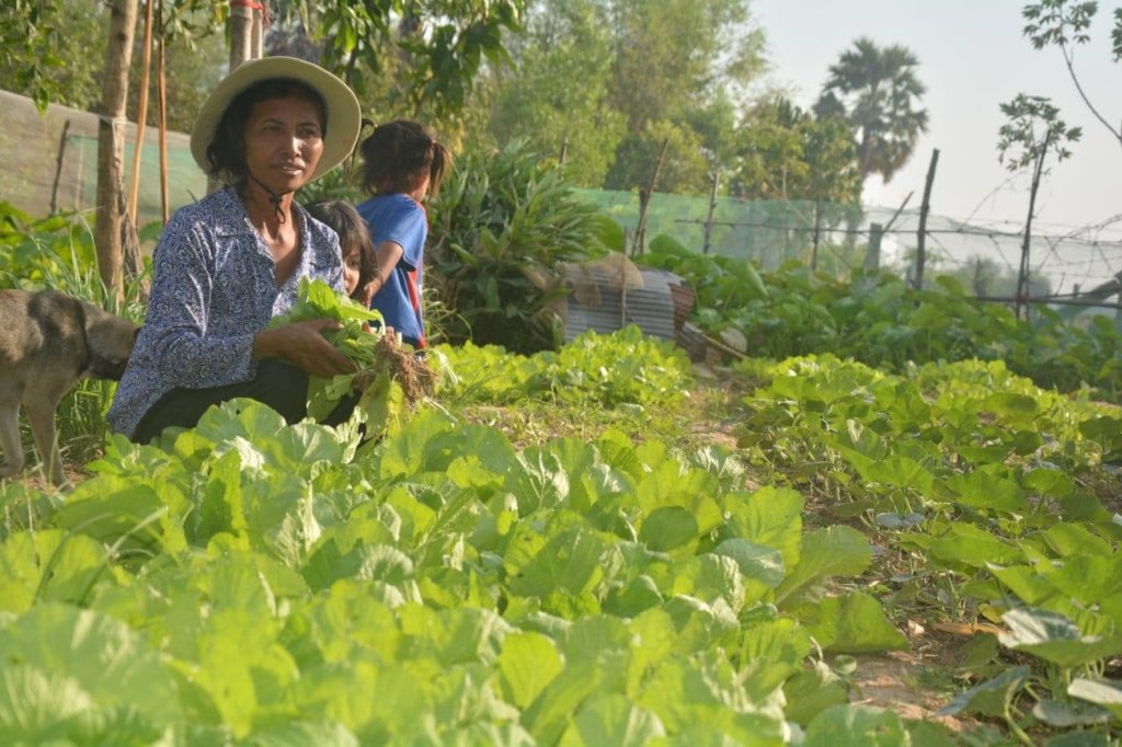 Enhance Food Security for 300 Returned Migrants