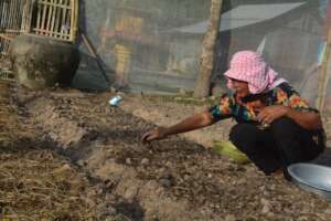 Sister Yut Yoeun sowing vegetable seeds