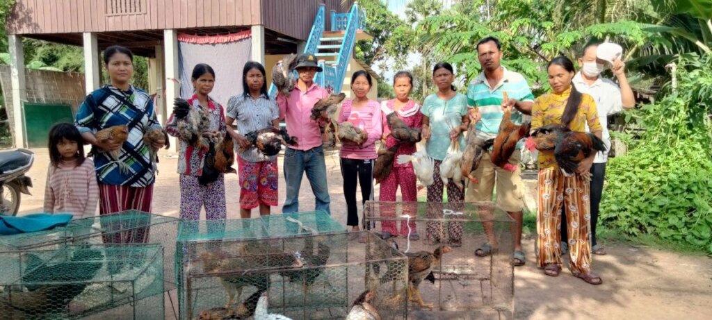 Distribution chickens to returned migrants