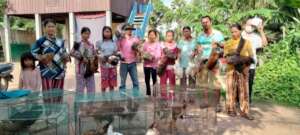 Distribution chickens to returned migrants