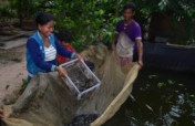 Enhance Food Security for 300 Returned Migrants