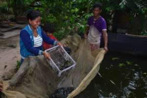 Enhance Food Security for 300 Returned Migrants