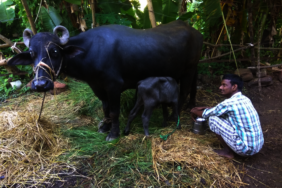 Sustainable Livelihoods for Deafblind Adults