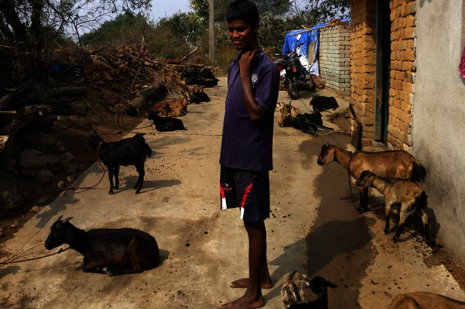 Sustainable Livelihoods for Deafblind Adults