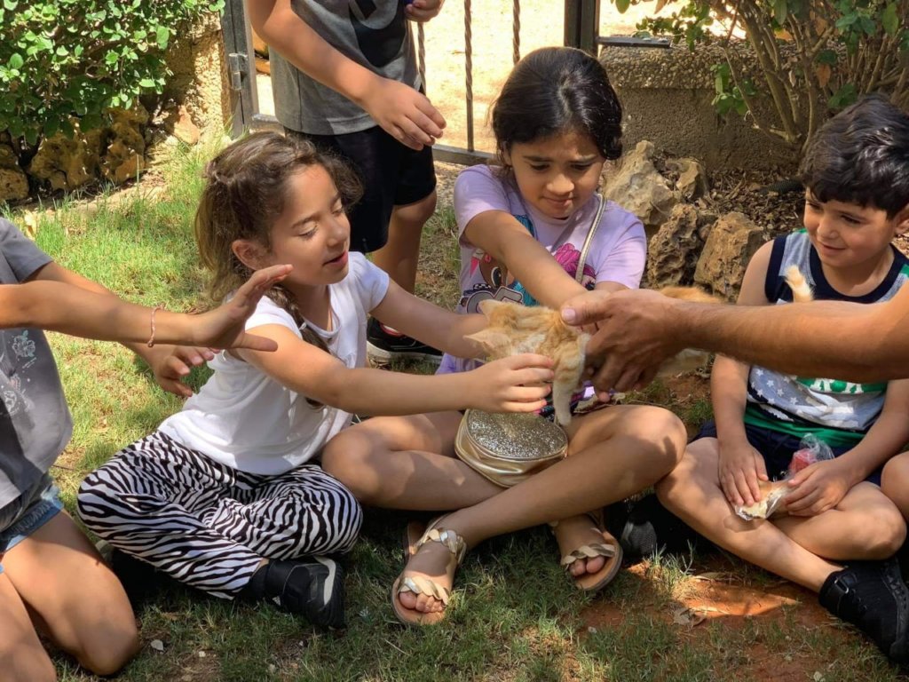 Save the lives of 480 stray dogs in Jericho city