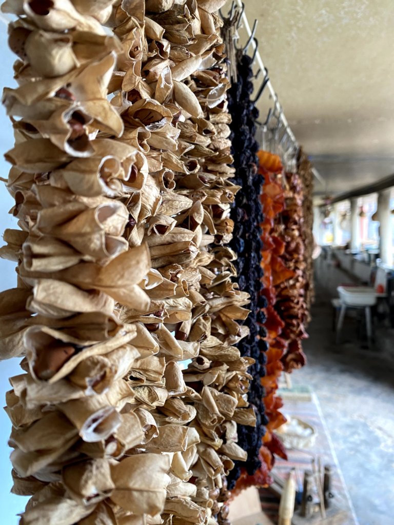 Sari Janaparh by HDIF