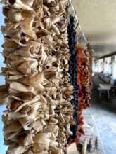 Dried Food of Tavush