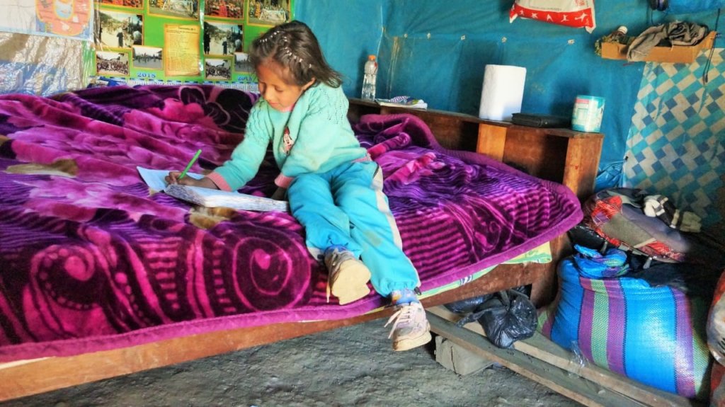 Accessibility to virtual classes by primary school