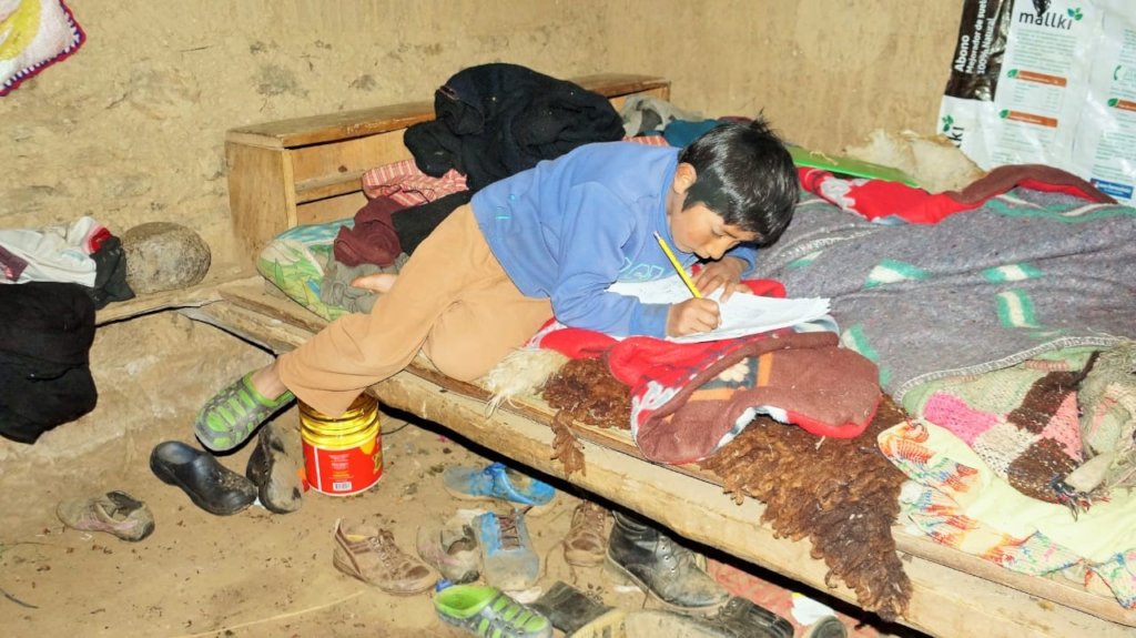 Accessibility to virtual classes by primary school