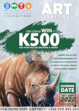 Rhino art competition for World Rhino Day 22Sept
