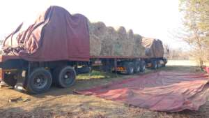 First truck load of hay arriving in September