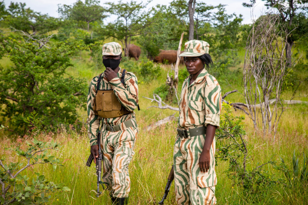 Wildlife Rangers on Rhino Guard patrol