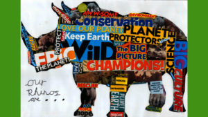 Inspiration to create our own posters