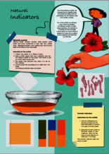 Actilearn 1.0 Sample activity