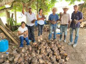 Community Participation