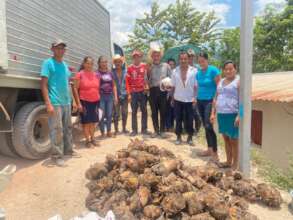 Transport to villages