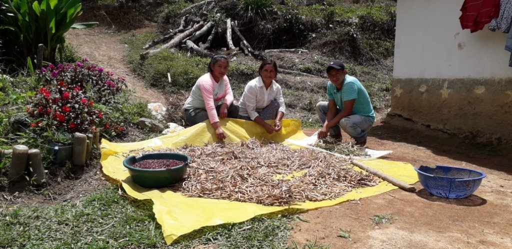 Stop hunger for indigenous families in Honduras