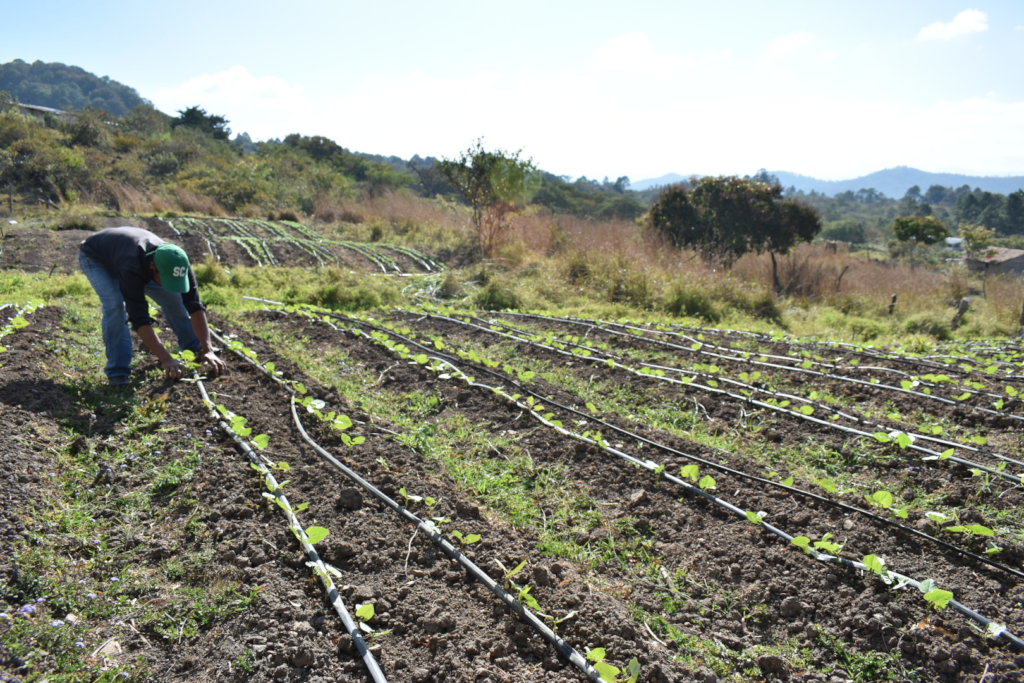 Stop hunger with indigenous families in Honduras