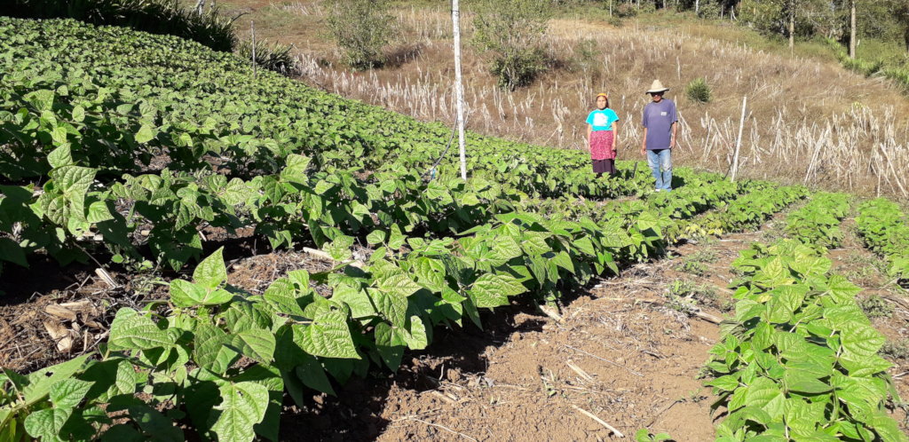 Stop hunger with indigenous families in Honduras
